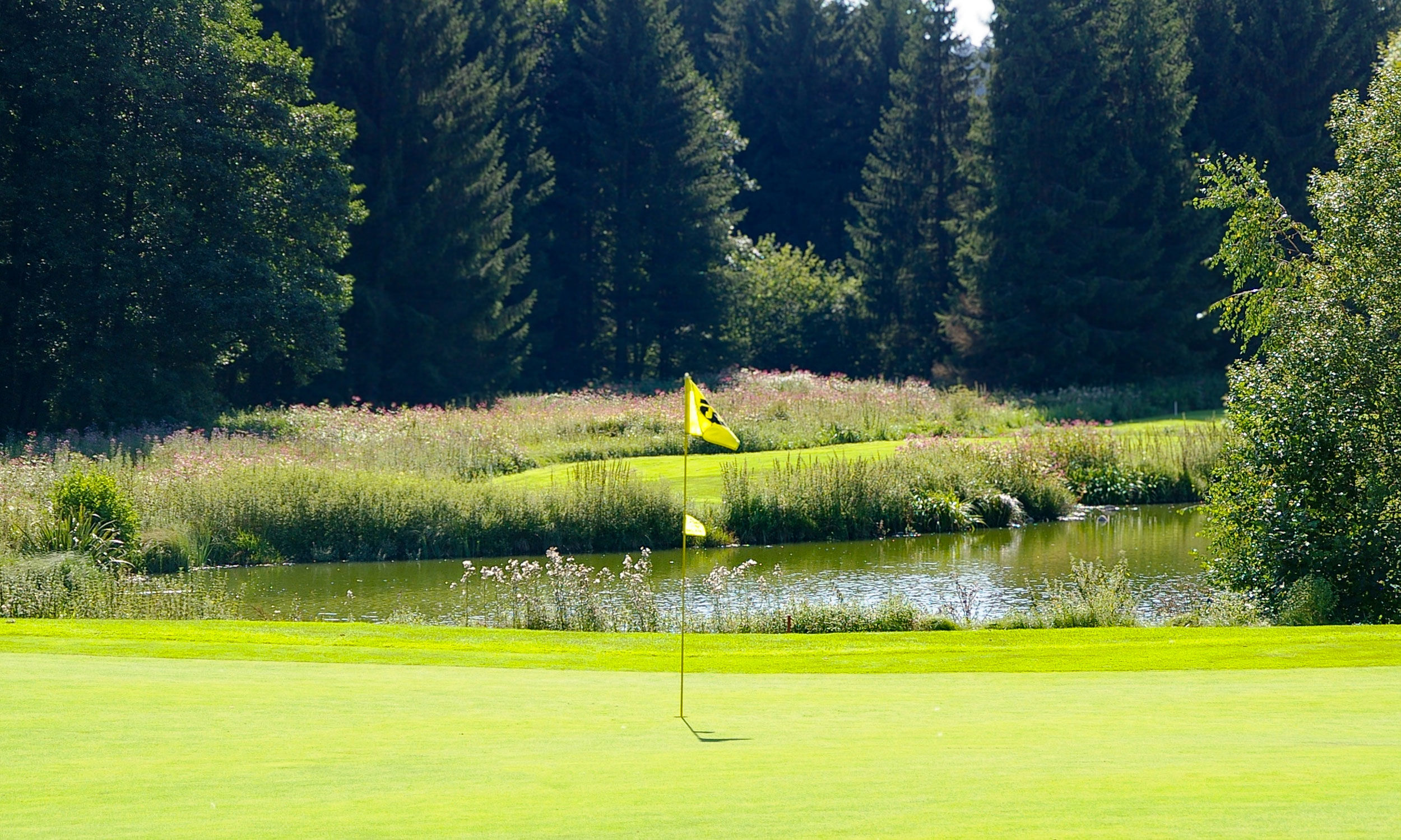 Eine Fernmitgliedschaft im Golfclub Bayerischer Wald ist möglich